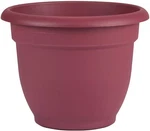 Bloem (#AP0612) Ariana Planter With Self-watering Disk, Union Red 6". Fixed Price $10.02.