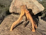 Manzanita Tree Root Stump Scape Aquarium Terrarium Reptile Snake Lizard. Fixed Price $60.00.