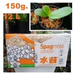 Spagmoss Sphagnum New Zealand Besgrow Brick Classic Orchid Plant 150G 12L. Fixed Price $28.99.