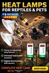 2 Lamps Simple Deluxe 150W Reptile Ceramic Heat Bulb With 8.5 Inch Clamp. Fixed Price $25.00.