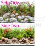 Seaview Crisp River/coastal Hues 18" Inch Aquarium/terrarium Background. Fixed Price $12.97.