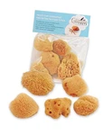 Hermit Crab- All Natural Sea Sponges 5 Pack Unbleached, Provides Nutrients,.... Fixed Price $22.39.