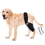 Baoguai Knee Brace Pro, For Dogs Acl, Luxating Patella Reduces Pain, M. Fixed Price $24.99.