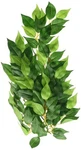 Exo Terra Medium Multi Color Artificial Plant For Pets With Weighted Base. Fixed Price $15.59.