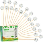 Snowflakes Cotail Pis Long Food Tootis Fruit Stis Sandwich. Fixed Price $10.98.