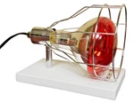 Edtm HL1040 250W Infrared Heat Lamp, Made Usa. Fixed Price $82.00.