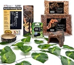 Ball Python Snake Habitat 10 Gallon Terrarium Baby Starter Kit Xyzreptiles. Fixed Price $39.01.