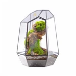 Ncyp 9.8" Irregular Geometric Glass Terrarium W/ Door For Succulents/air Plants. Fixed Price $95.68.