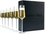 Aspen & Birch - Classic Champagne Flutes Set Of 6 Glasses Mimos.... Fixed Price $63.41.