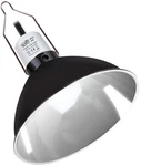 Reptiking Reptile Fixture, 8.5'' Dome For Light/heat La.... Fixed Price $33.04.