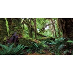 Awert Inches Tropical Forest Terrarium Background 48X20IN/120X50CM. Fixed Price $14.69.