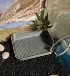 Gecko / Reptile Litter Tray. Fixed Price $17.00.
