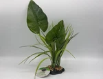 Thrive Natural Plant D Cor Reptiles Tropical *poseable Leaves* Terrarium Gecko. Fixed Price $16.95.