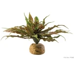 Exo Terra Desert Plant - Star Cactus. Fixed Price $13.99.