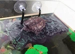 Bigtron Turtle Platform, Floating Pier Rectangular Terrapin Dock Pu Fo.... Fixed Price $22.17.