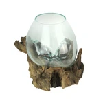 Large Molten Glass Sculptural Bowl Plant Terrarium On Natural Driftwood Base. Fixed Price $69.99.