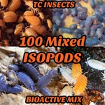 100CT Mixed Species Isopods Feeder Bioactive Vivarium Pillbug Roly Poly. Fixed Price $25.99.