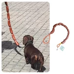 Manon Rosa Sausage Leash Hot Dog Walking Gear - Durable Standard, Brown. Fixed Price $26.04.
