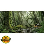 Awert 36X24IN Foggy Forest Terrarium Background Reptile Aquarium. Fixed Price $20.00.