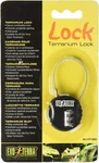 Terrarium Lock. Fixed Price $16.10.