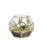 Ncyp No Door Glass Terrarium For Small Cactus Succulents - Gold Geometric. Fixed Price $44.72.