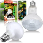 Reptile Heat Lamp 75W 2 Pack,uva Basking Bulbs,natural Daylight. Fixed Price $22.95.
