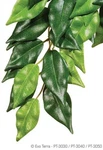 Exo Terra Silk Plant - Ficus Medium. Fixed Price $14.99.