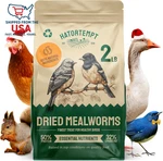 Dried Mealworms - 2 Lb Bag High Protein Chicken Feed, For Birds &. Fixed Price $27.67.