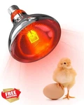 Tobebright Infrared Heat Lamp Bulb, 150W Light, Chicken Brooder. Fixed Price $20.00.