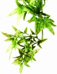 Exo Plastic Terrarium Plant, Small, Croton. Fixed Price $9.68.