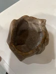 Rock Reptile Water Dish Extra Small. Fixed Price $7.00.