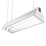 Durolux DL822N T5 Ho 2FT Fluorescent Lamps Grow Lighting System 5000 Lumens. Fixed Price $95.86.