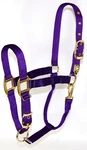 Hamilton Deluxe Horse Halter, 1" Triple Ply Nylon, Adjustable Chin Strap, Easy. Fixed Price $60.45.