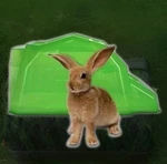 Jw Pet Walkup Small Animal Barn Large Green Pre Owned. Fixed Price $9.99.
