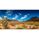 Awert Inches Reptile Habitat Background Blue Sky Oasis 36X18IN/90X45CM. Fixed Price $14.76.