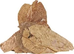 Flukers Catappa Leaves For Hermit Crabs, 5 Per Pack. Fixed Price $9.09.
