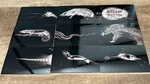 X-ray 20-CARD Complete Set 2024 Topps Allen & Ginter #XR-1 XR-20 Oregon Zoo. Fixed Price $13.99.