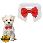 Petaxcell Red Dog Bow Tie Collar, Cotton, Adjustable L, Wedding Party. Fixed Price $20.00.