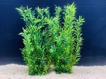 2 Pcs Artificial Water Plants, Fish Tank Aquarium Decorations, Made Soft P.... Fixed Price $29.02.