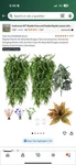 Runania Reptile Plants For Bearded Dragon Tank Accessories, Terrarium Hanging. Fixed Price $18.00.