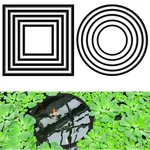 Xinjoduz 10 Pcs Fish Feeding Rings Sets, Floating Plant Corral, Round & Black. Fixed Price $12.25.