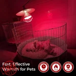 Misdood 250W Infrared Heat Lamp Bulb Flood Light Pack Food Brooder. Fixed Price $34.99.
