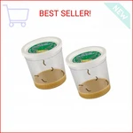 Insect Lore 2 Cups Of Caterpillars Basic - 10 Live Baby Painted Lady. Fixed Price $35.18.