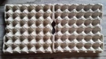 New Crates Flats For Eggs Feeders Crickets Roaches Crested Geckos (15 Piece). Fixed Price $14.99.
