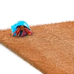 Sungrow Coco Fiber Hermit Crab & Reptile Carpet, Gecko Terrarium Natural. Fixed Price $10.40.