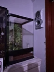 Exo Terra Crested Gecko Habitat Kit Small 12 18 In PT-3778. Fixed Price $85.00.