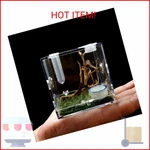 Awxzom Spider Terrarium, Acrylic Reptile Breeding Box Jumping Enclosure. Fixed Price $17.96.