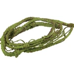 Flexible Jungle Vine Branch Decorative For Lizard, Frogs. Fixed Price $32.56.