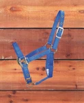 Miracle Corp Products Halter Adjustable Chin Foal Blue. Fixed Price $38.89.