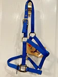 Nwot Hamilton Royal Blue Nylon Pony Halter Adjustable Chin Strap (5 Available). Fixed Price $35.00.